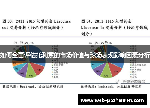 如何全面评估托利索的市场价值与球场表现影响因素分析